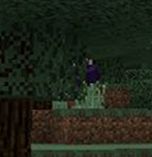 mcpe-bugfix-02-witch-confirmed