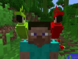 Об особенностях попугаев