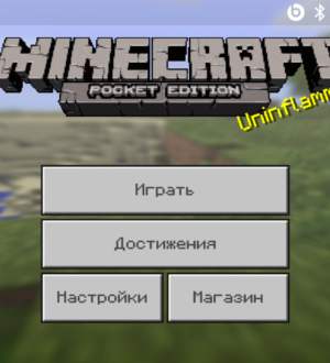 Minecraft Pocket Edition 1.1 beta 5