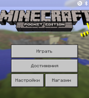 Minecraft Pocket Edition 1.1 beta 6