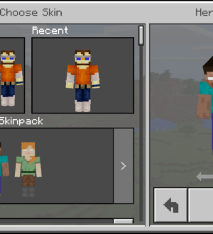 Скинпак Хиробрина для Minecraft 1.2 beta 1