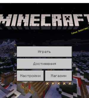 Вышла новая версия Minecraft 1.2.8