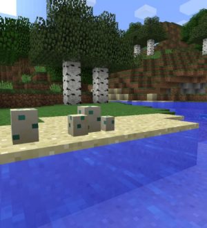 Откуда появляются черепахи (в Minecraft)
