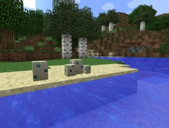 Откуда появляются черепахи (в Minecraft)