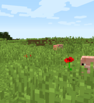 Я увидел скопление ЛЬВОВ! Лишь через пару игровых дней я понял что это свиньи