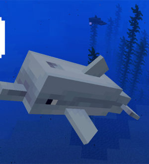 Разговор с дельфинами