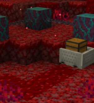 Обновление Minecraft 1.16.2, пре-релиз 1