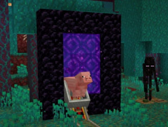 Обновление Minecraft 1.16.2, пре-релиз 2