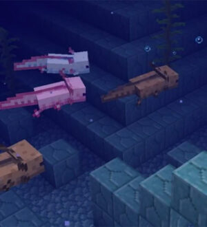 Вышла новая версия Minecraft 1.17. Обновление «Пещеры и горы», часть 1