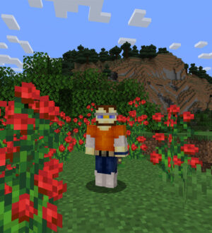 «Правда ли, что разработчики Minecraft ленивые…» — интервью, в котором я ответил на незаданный вопрос