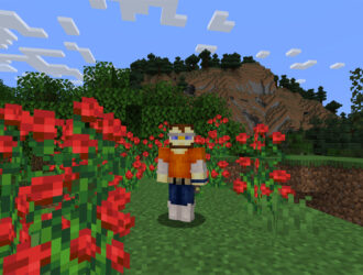 «Правда ли, что разработчики Minecraft ленивые…» — интервью, в котором я ответил на незаданный вопрос