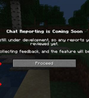 Ещё немного о системе жалоб Minecraft 1.19.1