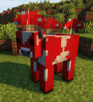 Муухомор станет муушрумом или мушрумом